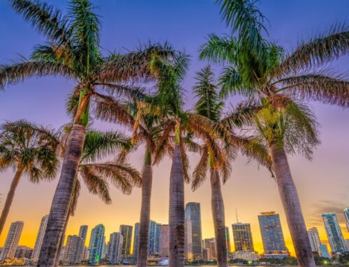 Access Interpreting LLC Now Serving South Florida!