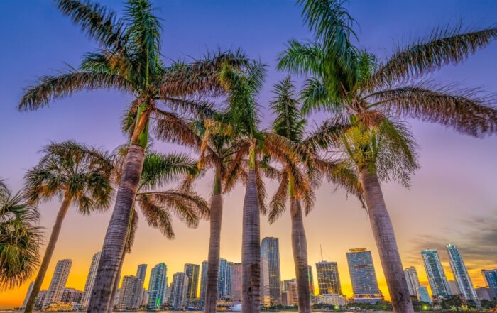 Miami skyline with palm trees in the foreground at sunset in South Florida.